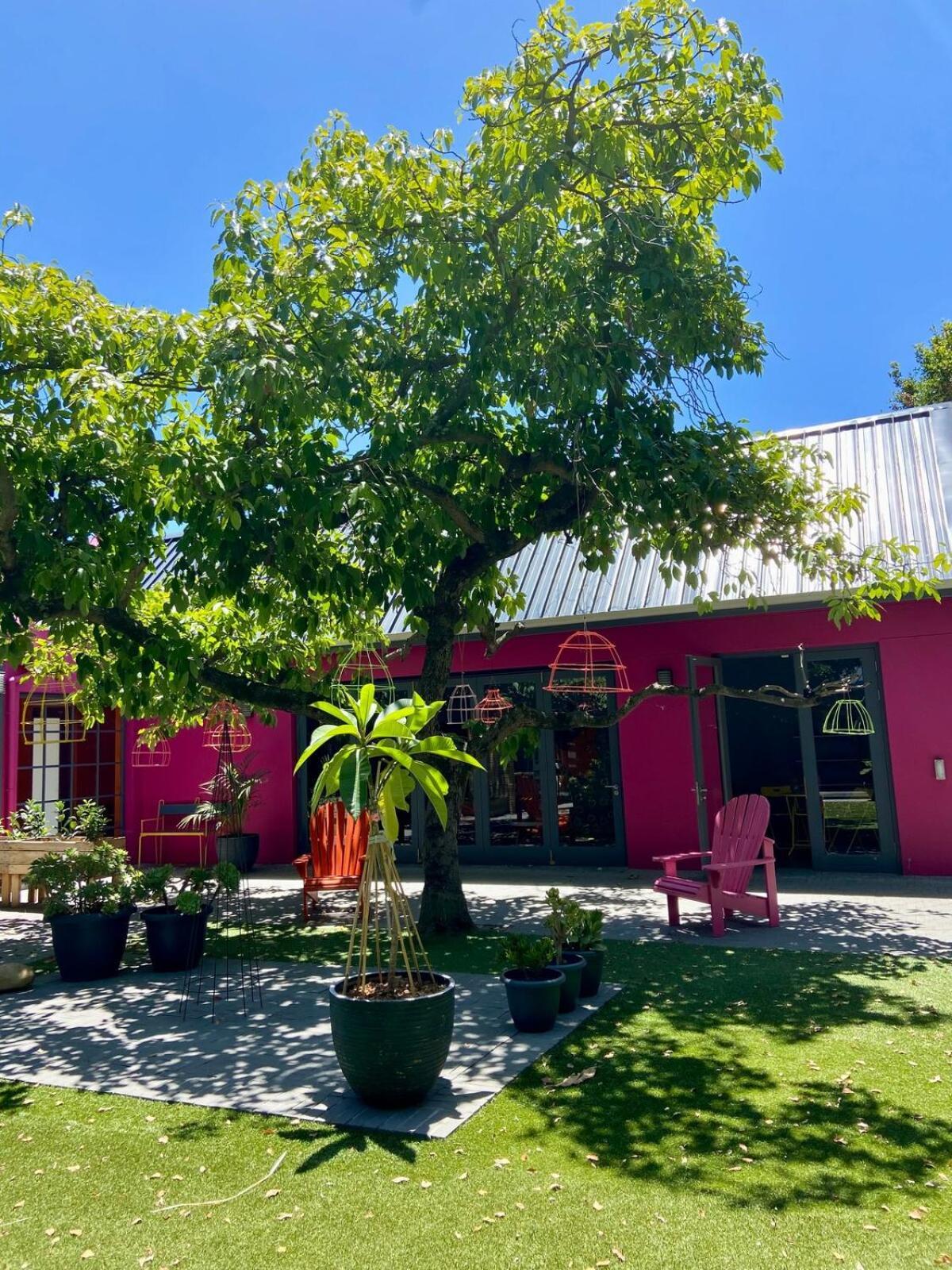 Apartamento The Tree House - Loft