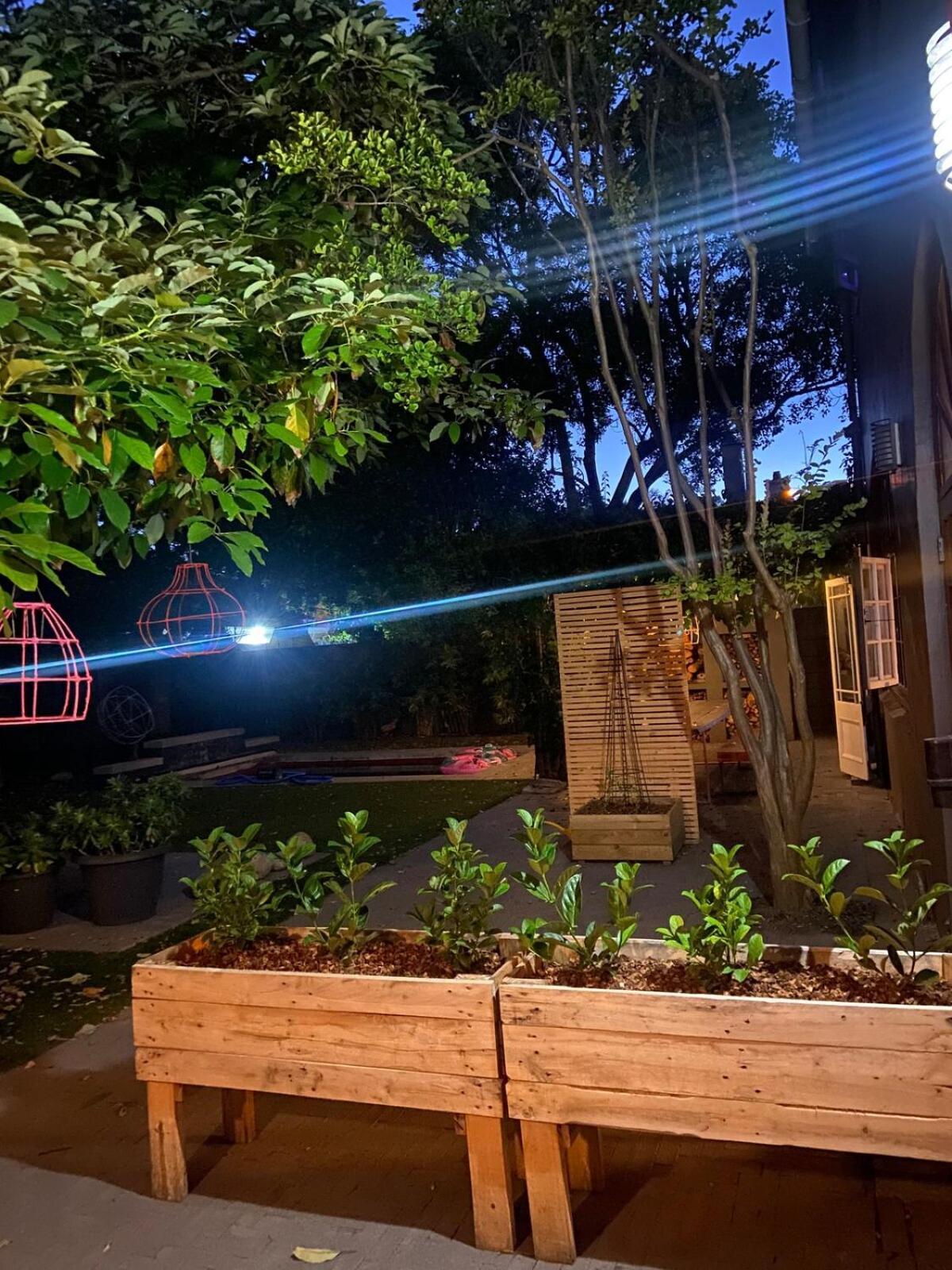 Apartamento The Tree House - Loft *